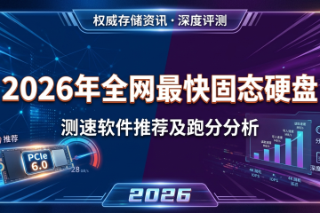 2026年全网最快固态硬盘测速软件推荐及跑分分析